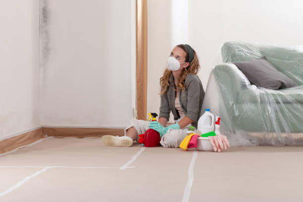 Reliable Basement Mold Remediation contractor in Elizabeth, PA by WQB Mold Removal